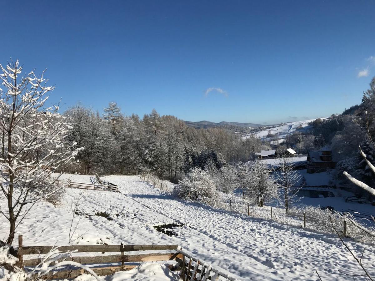 Pasieka - Dom Wypoczynkowy Bacza Bagian luar foto