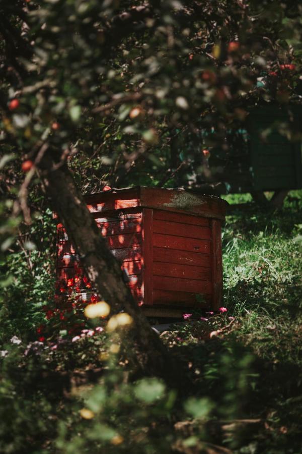 Pasieka - Dom Wypoczynkowy Bacza Bagian luar foto