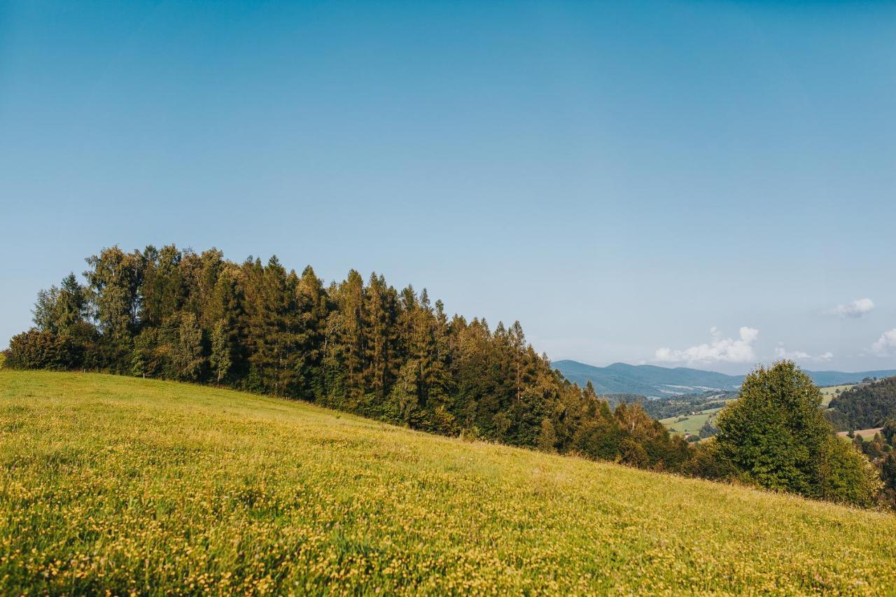 Pasieka - Dom Wypoczynkowy Bacza Bagian luar foto