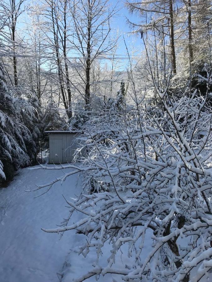 Pasieka - Dom Wypoczynkowy Bacza Bagian luar foto