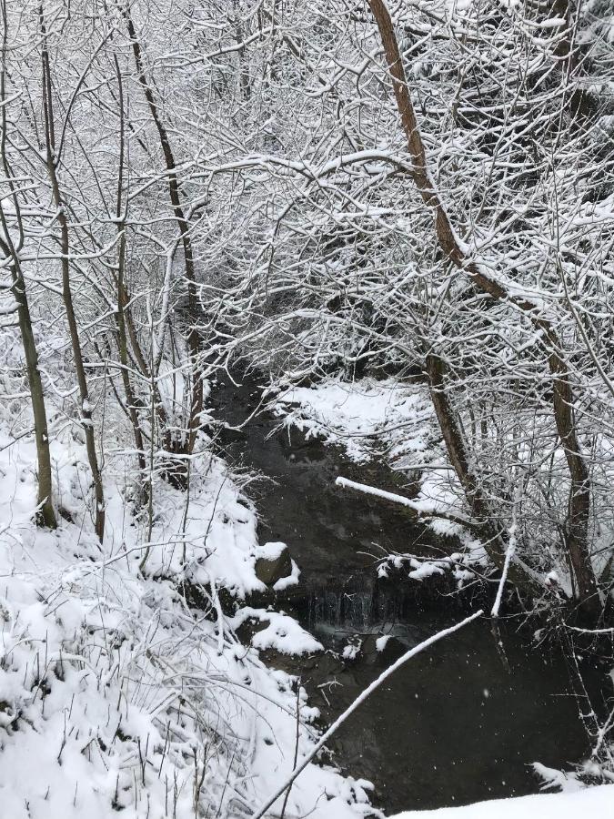 Pasieka - Dom Wypoczynkowy Bacza Bagian luar foto